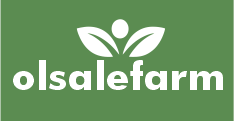 Olsale farms Ltd